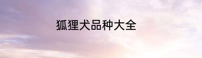 狐狸犬品种大全