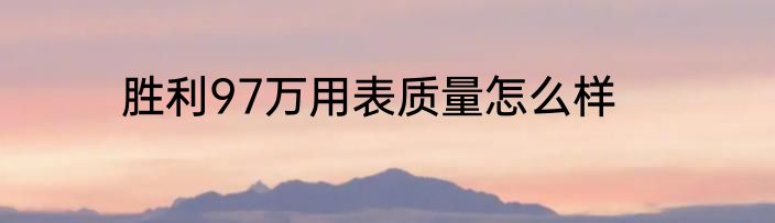 胜利97万用表质量怎么样