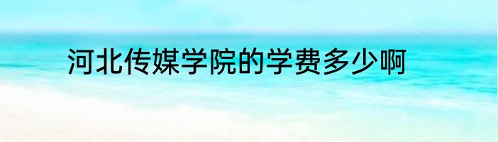 河北传媒学院的学费多少啊