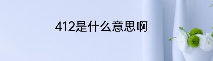 412是什么意思啊