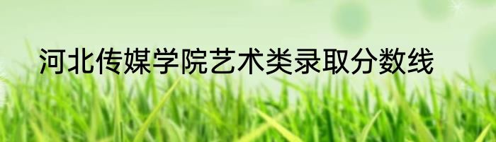 河北传媒学院艺术类录取分数线