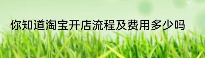 你知道淘宝开店流程及费用多少吗
