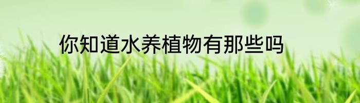 你知道水养植物有那些吗