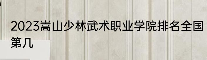 2023嵩山少林武术职业学院排名全国第几