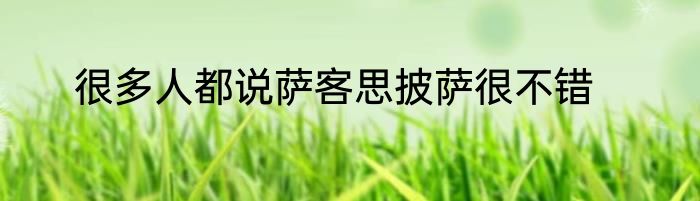 很多人都说萨客思披萨很不错