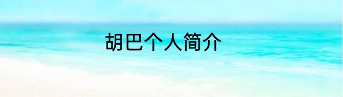 胡巴个人简介