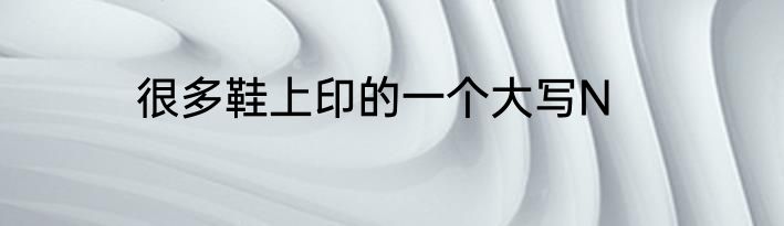 很多鞋上印的一个大写N