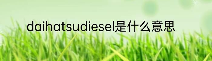 daihatsudiesel是什么意思