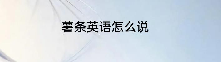 薯条英语怎么说