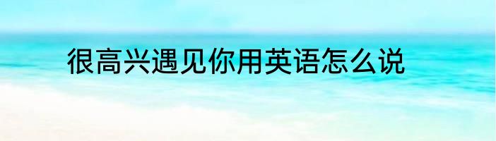 很高兴遇见你用英语怎么说
