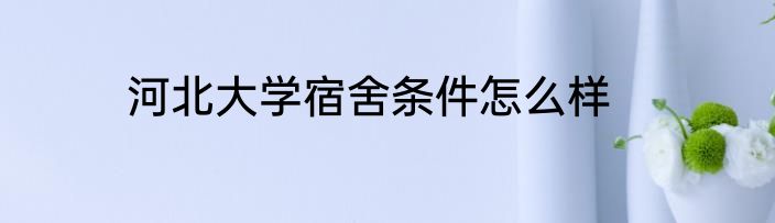 河北大学宿舍条件怎么样