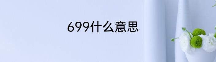 699什么意思