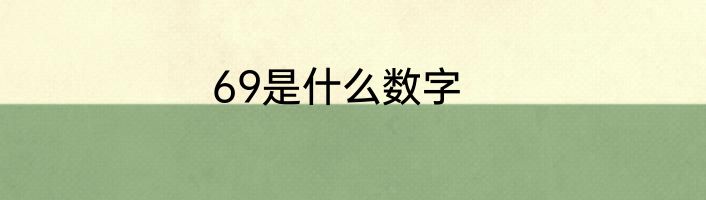 69是什么数字
