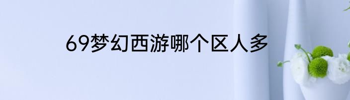 69梦幻西游哪个区人多