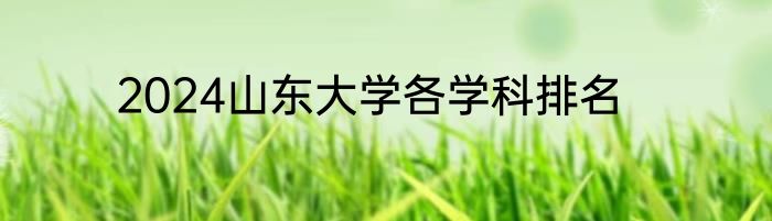 2024山东大学各学科排名