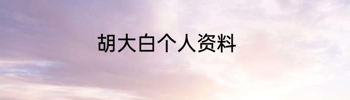 胡大白个人资料