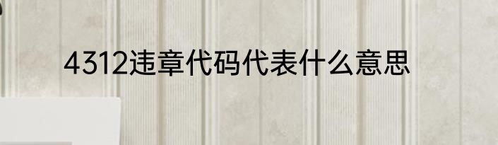 4312违章代码代表什么意思