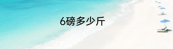 6磅多少斤