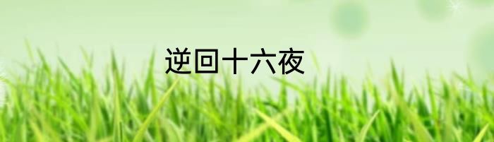 逆回十六夜