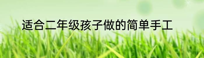 适合二年级孩子做的简单手工
