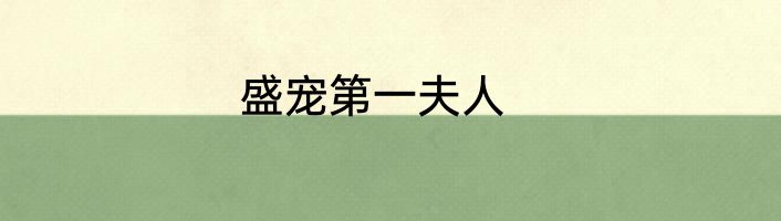 盛宠第一夫人