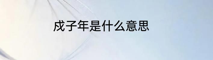 戍子年是什么意思