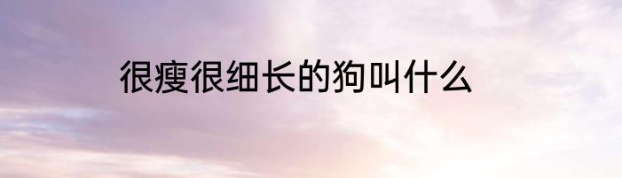 很瘦很细长的狗叫什么