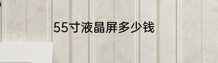 55寸液晶屏多少钱