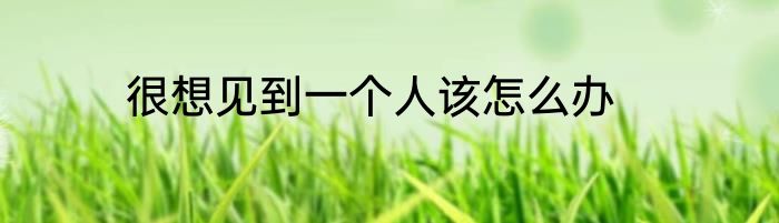 很想见到一个人该怎么办