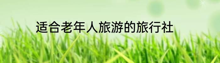 适合老年人旅游的旅行社