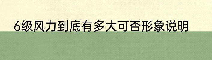 6级风力到底有多大可否形象说明