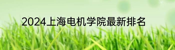 2024上海电机学院最新排名