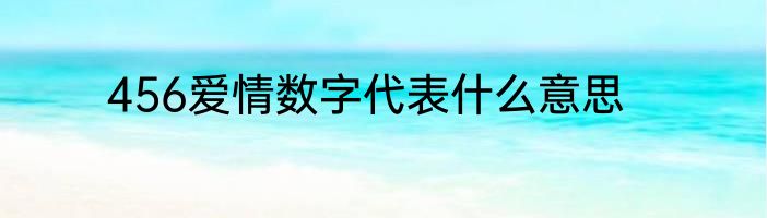 456爱情数字代表什么意思
