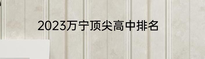 2023万宁顶尖高中排名