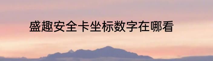 盛趣安全卡坐标数字在哪看