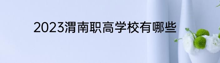 2023渭南职高学校有哪些
