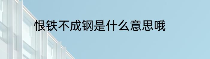 恨铁不成钢是什么意思哦