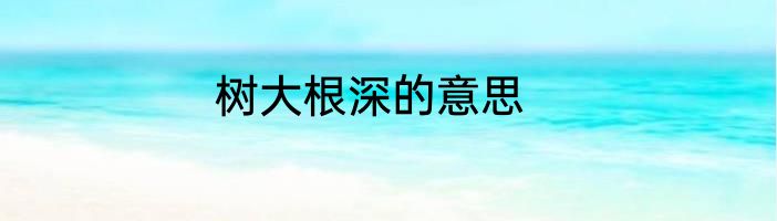 树大根深的意思