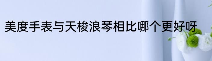 美度手表与天梭浪琴相比哪个更好呀