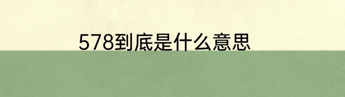 578到底是什么意思