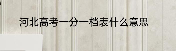 河北高考一分一档表什么意思