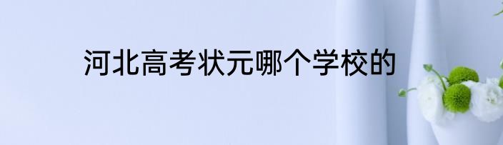 河北高考状元哪个学校的