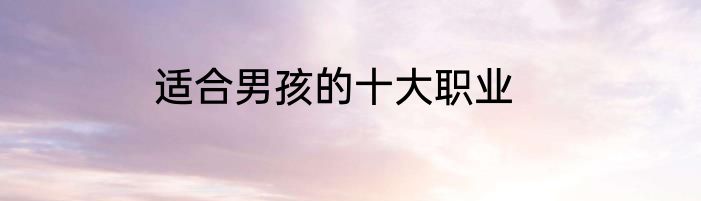 适合男孩的十大职业