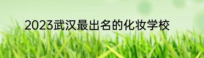 2023武汉最出名的化妆学校