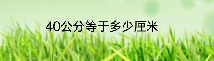 40公分等于多少厘米