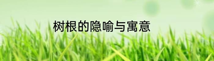 树根的隐喻与寓意