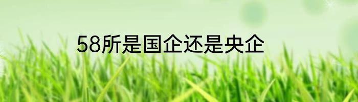 58所是国企还是央企