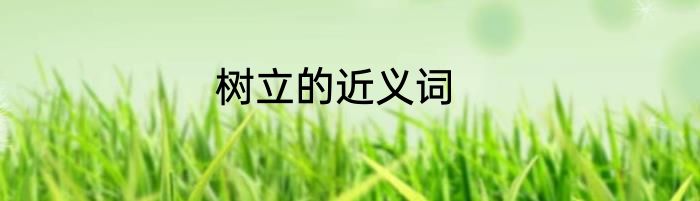 树立的近义词