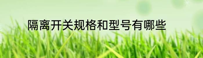 隔离开关规格和型号有哪些