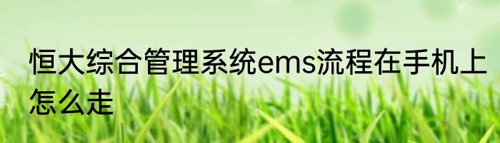 恒大综合管理系统ems流程在手机上怎么走